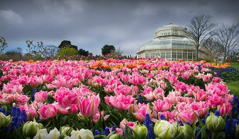 National Botanic Gardens Dublin