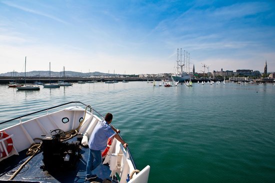 dublin bay cruises jobs