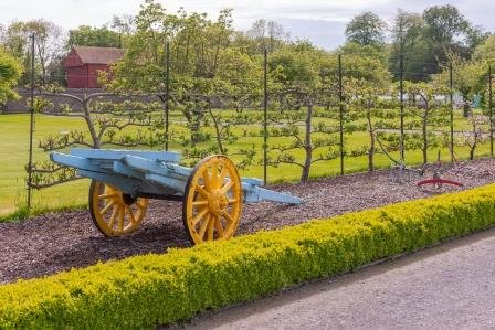 Old Horse Cart located beside orchard at Newbridge House